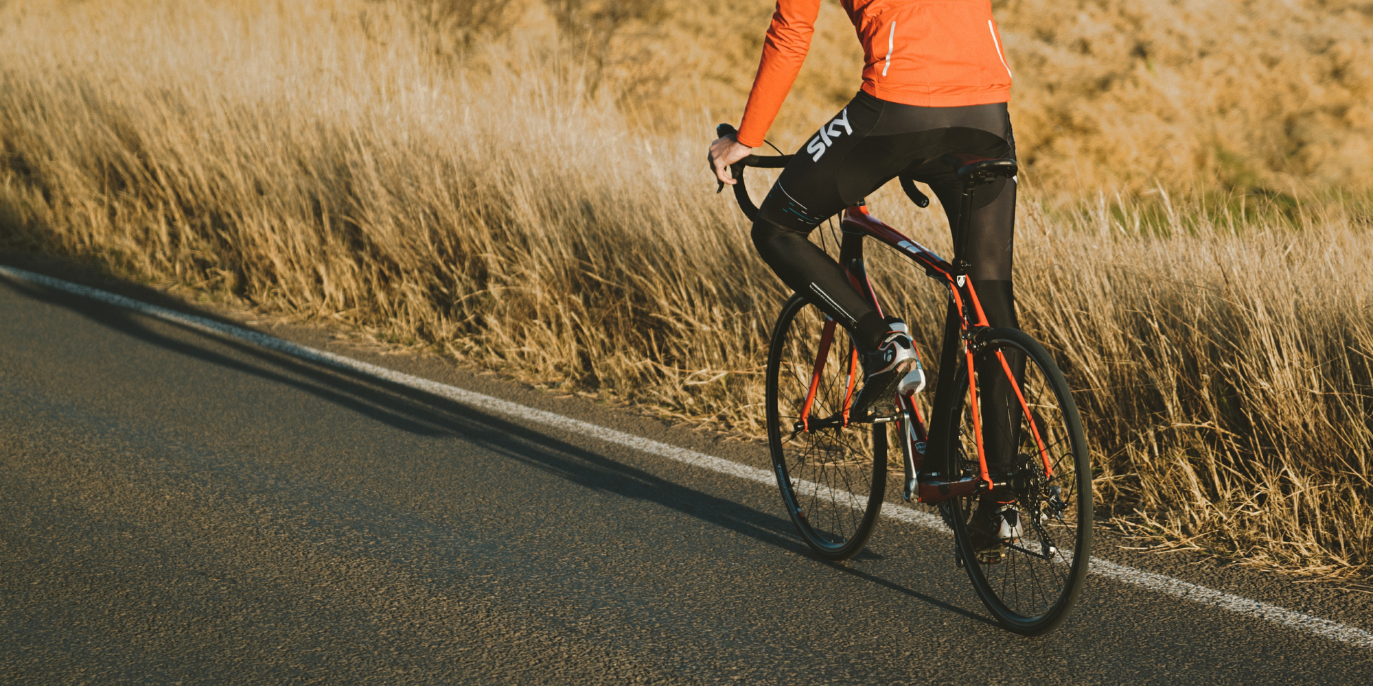 What are the different types of workouts and their suitability?