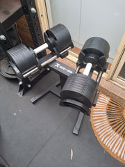 Rug and RigAdjustable Dumbbells and stand easily fit in home gym – Melbourne, Australia